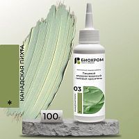Гелевый краситель БИОХРОМ Канадская пихта, 100г.